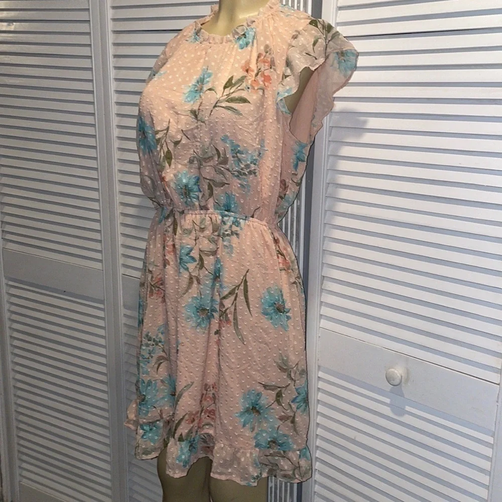 Dr2 by Daniel Rinn Pink and Blue Floral Dotted Dress size L - Picture 2 of 8
